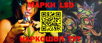 спиды Краснознаменск