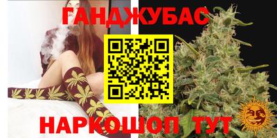 дмт Краснодар