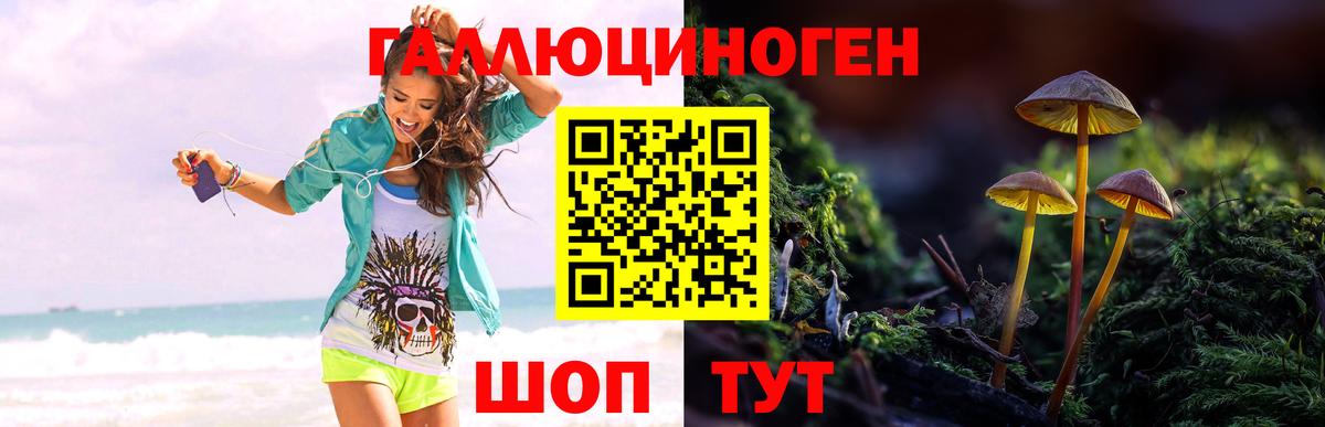 Псилоцибиновые грибы MAGIC MUSHROOMS Чистополь